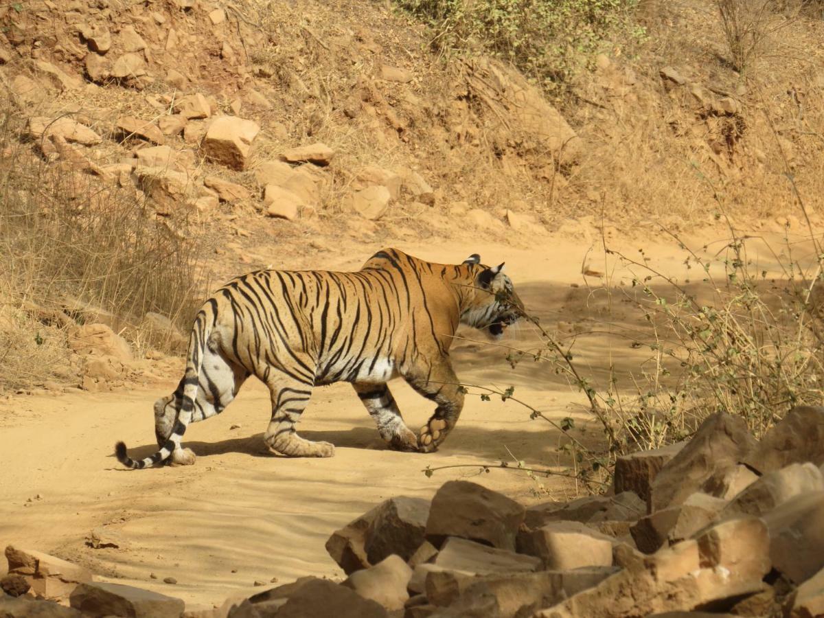 Rajputana Heritage Sawai Madhopur Luaran gambar